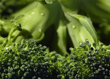 The most healthful food you can eat.